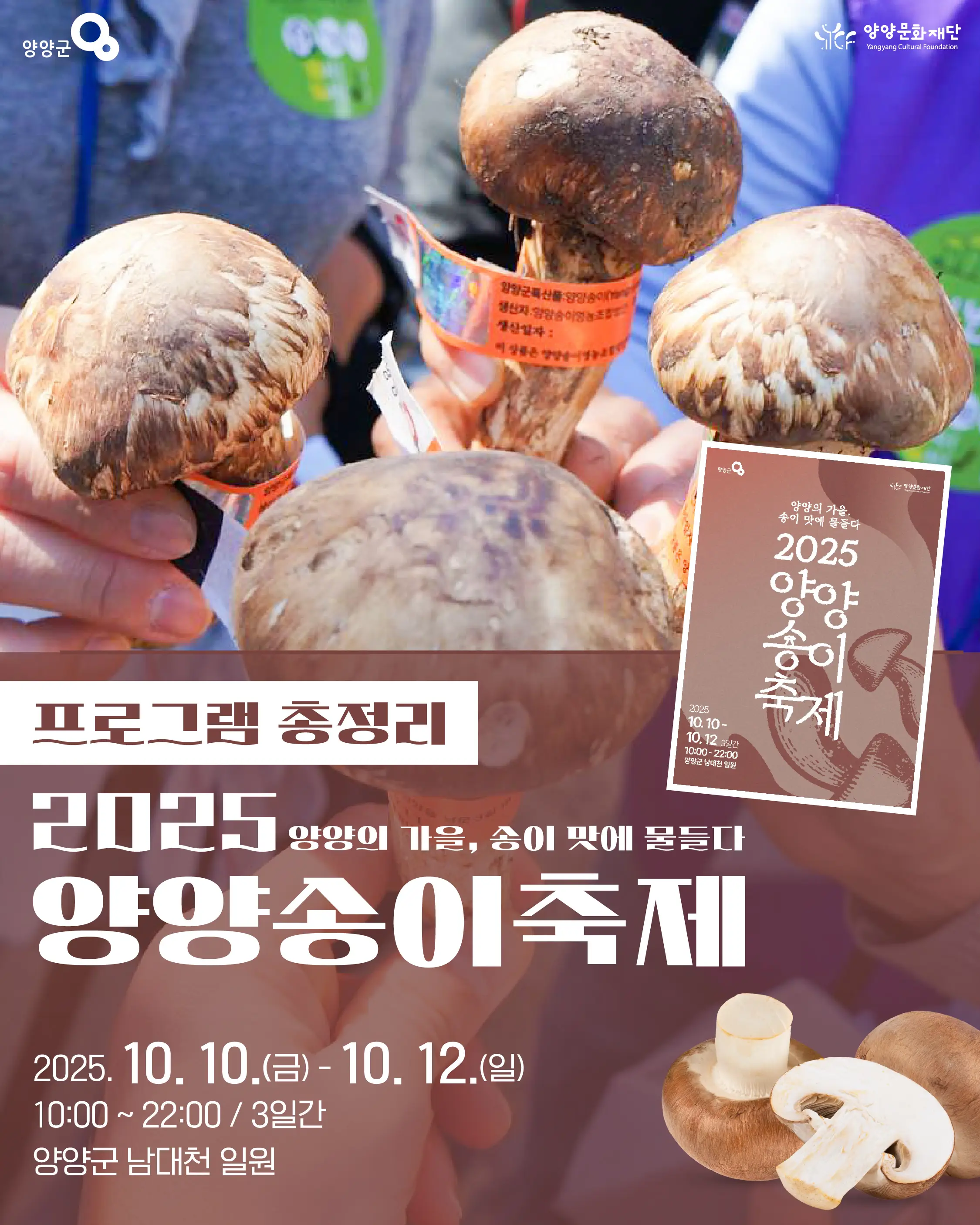 양양송이축제